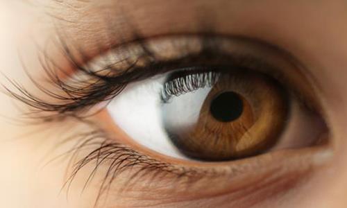 Implantable eye devices that improve vision