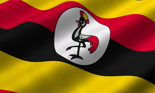 Uganda to launch e-passports to fight insecurity