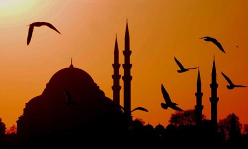 Free Istanbul tour for transfer passengers by Turkish Airlines