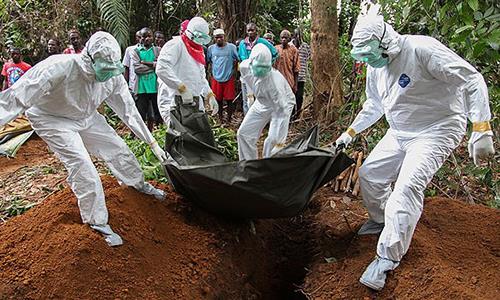 Ebola hits Sierra Leone's Freetown in pocket