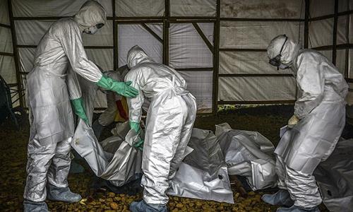 WHO: Ebola cases hit 20,000, death toll nears 8,000