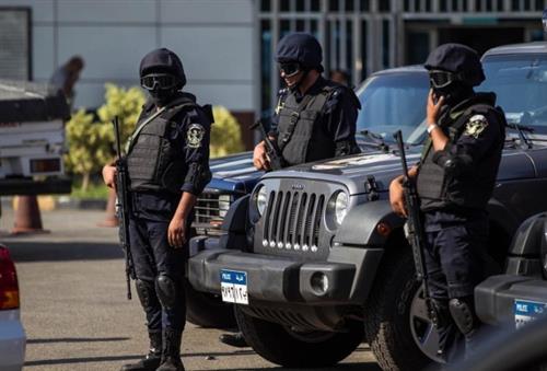 Nine Muslim Brotherhood members killed in Egypt raid